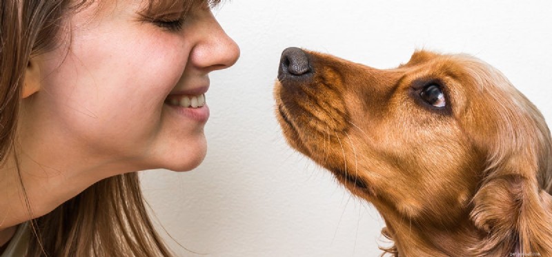 Kunnen honden voelen of iemand kanker heeft?