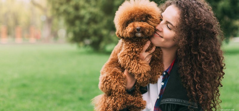 Dokážou psi vycítit lásku?
