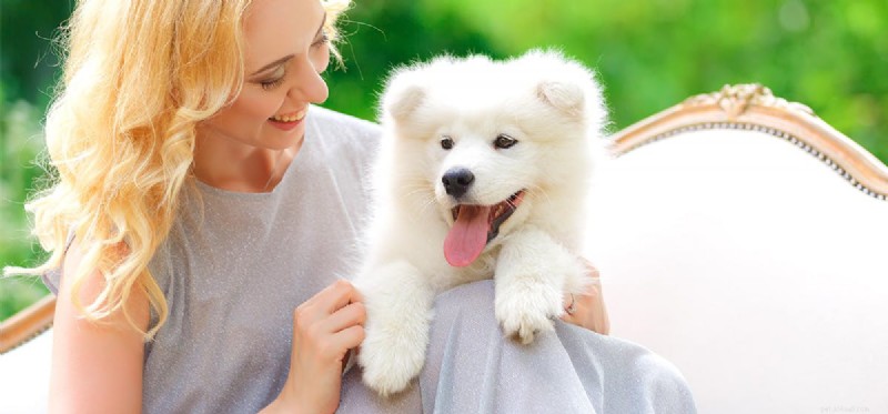 I cani possono avere un odore migliore degli umani?