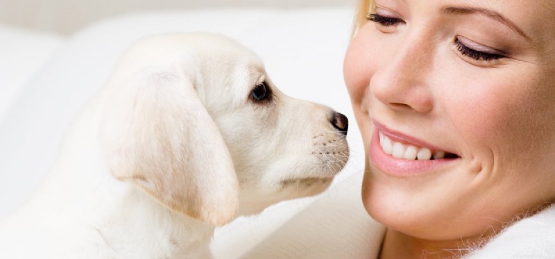 I cani possono avere un odore migliore degli umani?
