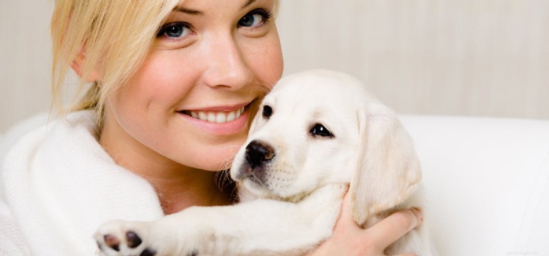 Kan hundar lukta cancer?