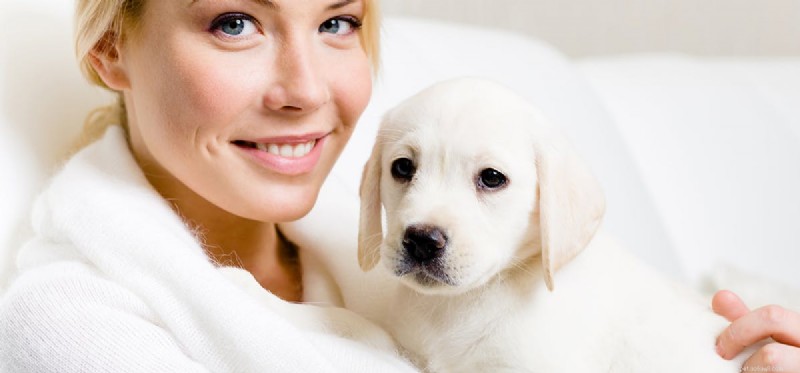 Kan hundar lukta cancer hos en person?