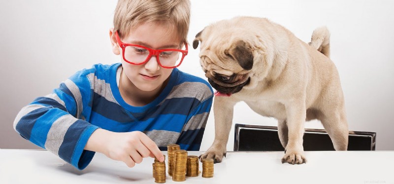 Les chiens peuvent-ils sentir l argent ?