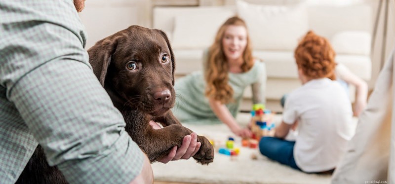 I cani possono annusare i membri della famiglia?