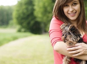 犬は胃の中で食べ物のにおいを嗅ぐことができますか?