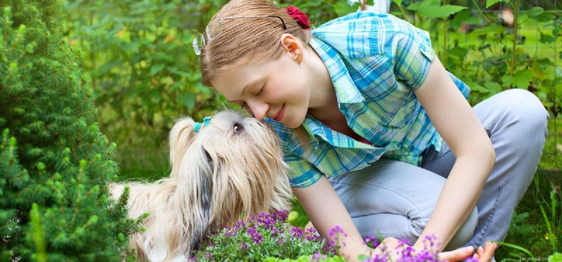 I cani possono annusare il profumo?