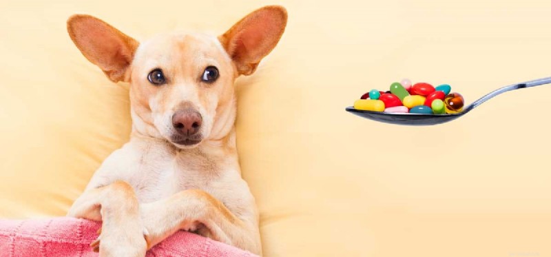Kunnen honden aspirine gebruiken?