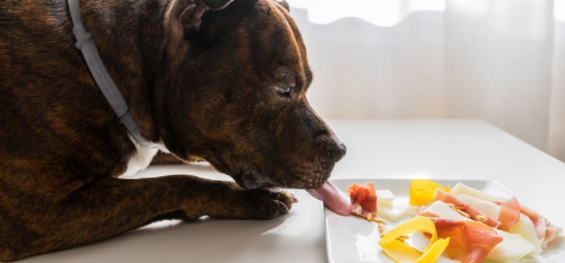 I cani possono assaggiare il cibo al limone?