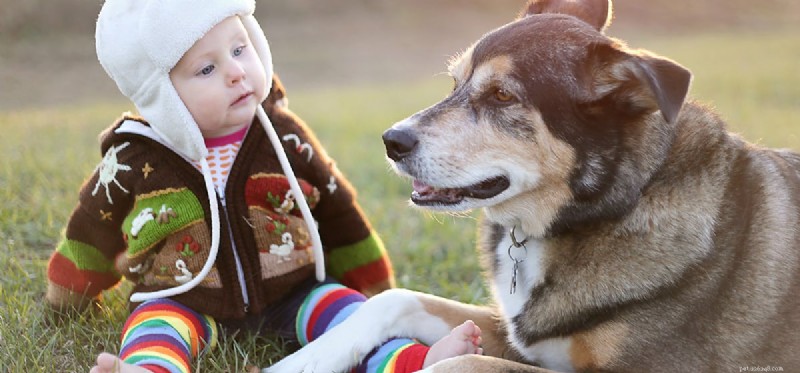 I cani possono dire ai bambini che sono bambini?
