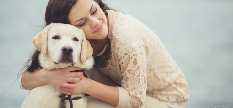 I cani possono dire se sei depresso?