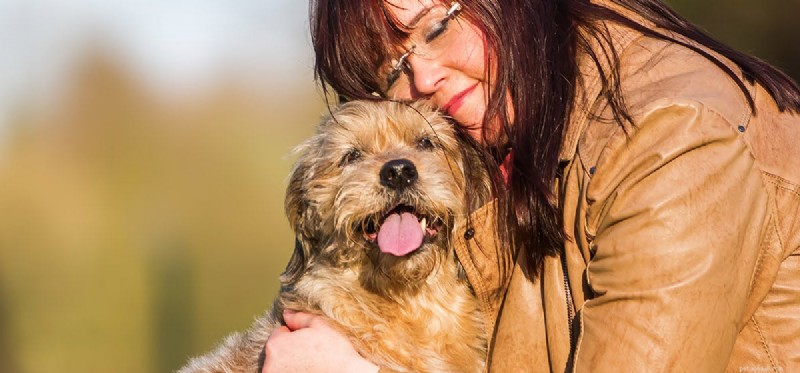 Les chiens peuvent-ils comprendre l affection ?