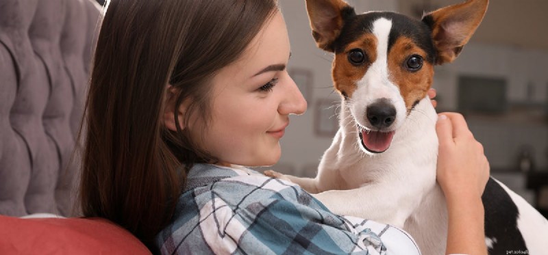 당신의 개는 당신이 아픈 것을 감지할 수 있습니까?