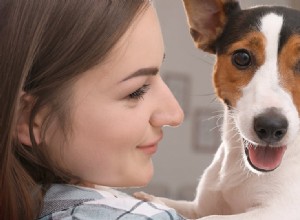 당신의 개는 공동 의존적입니까?