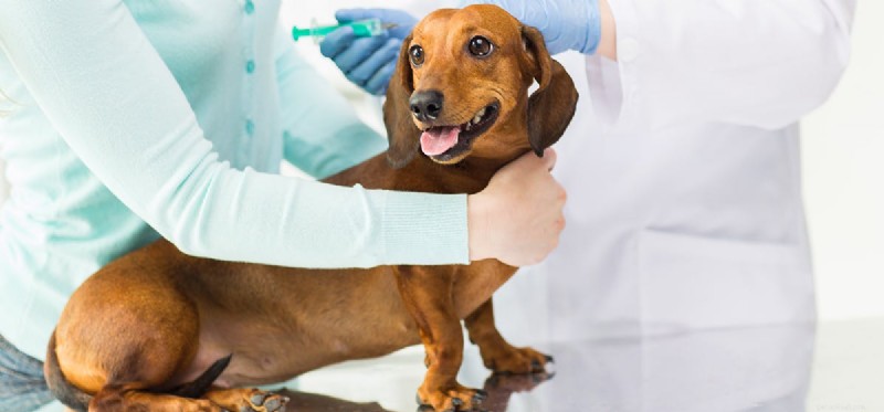 犬は注射後に気分が悪くなることがありますか?