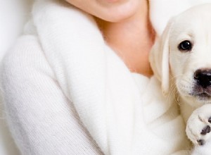 犬は憎しみを感じることができますか?