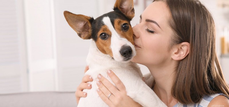 Kunnen honden voelen wanneer je ze kust?