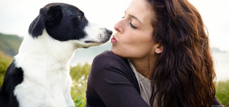 Cítí psi, když je líbáte?