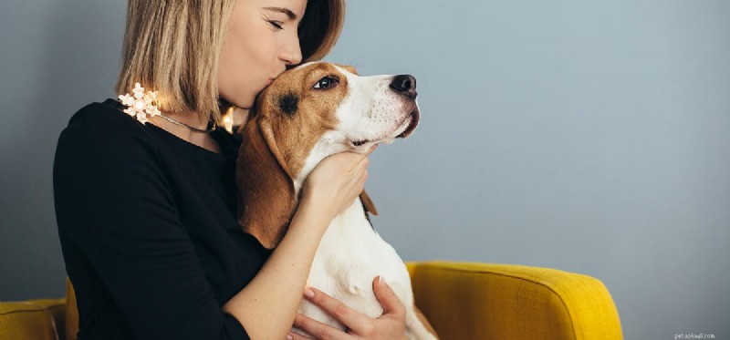 Kunnen honden voelen wanneer je ze kust?