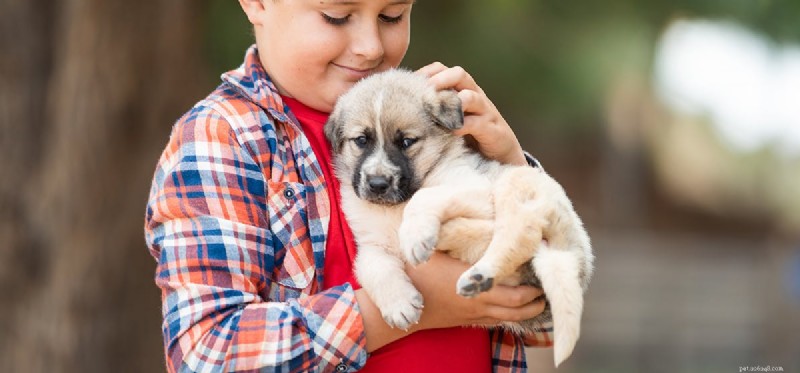 Kunnen honden astma bij kinderen helpen voorkomen?