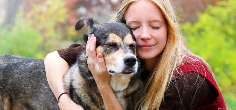 Kan hundar hjälpa till med social ångest?