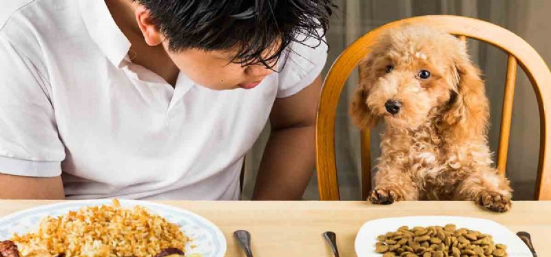 犬は巨大食道と共存できますか?