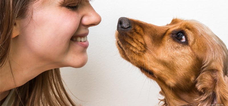 I cani possono vedere le espressioni facciali?
