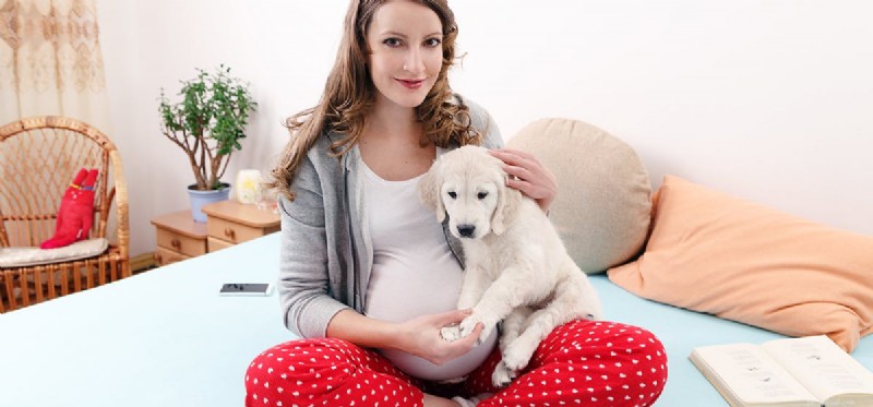 Os cães podem sentir bebês no útero?