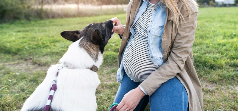 Kunnen honden baby s in de baarmoeder voelen?