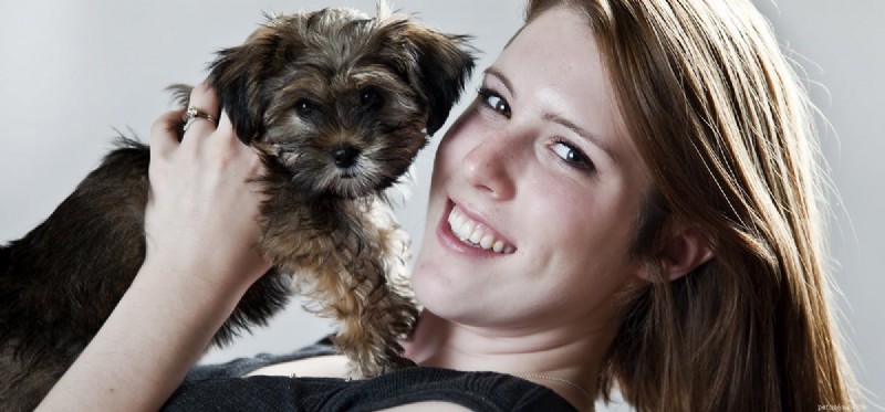 Могут ли собаки чувствовать рак молочной железы?