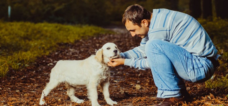 I cani possono percepire il bene e il male?