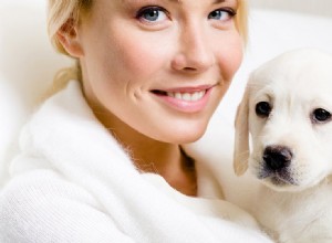 Могут ли собаки чувствовать запах раковых клеток?