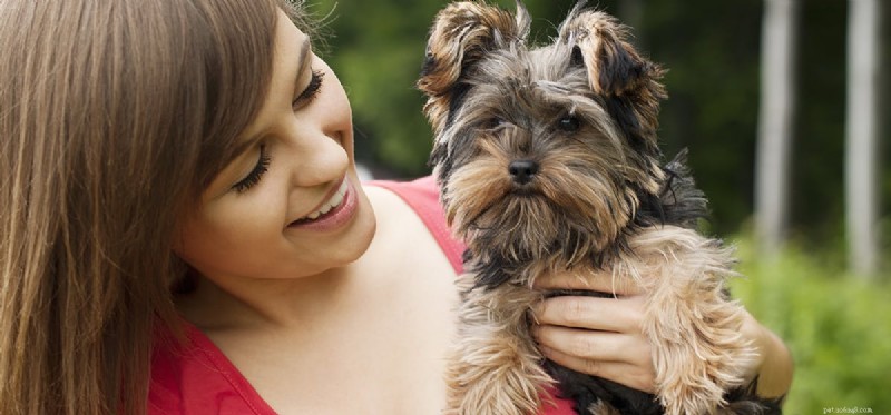 Os cães podem sentir o cheiro de diabetes?