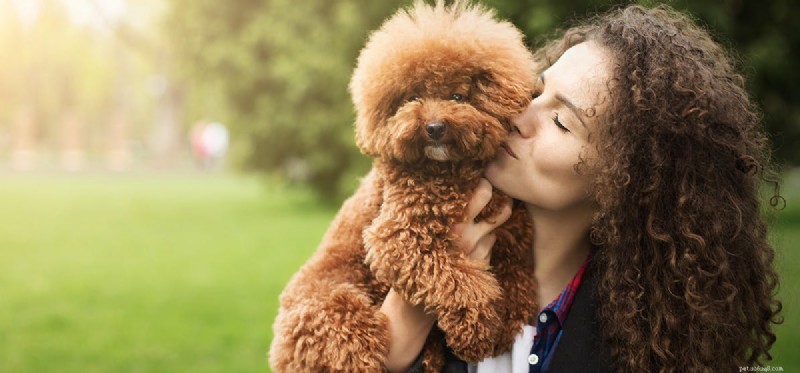 Os cães podem sentir o cheiro de diabetes?