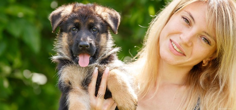 Les chiens peuvent-ils sentir les hormones humaines ?