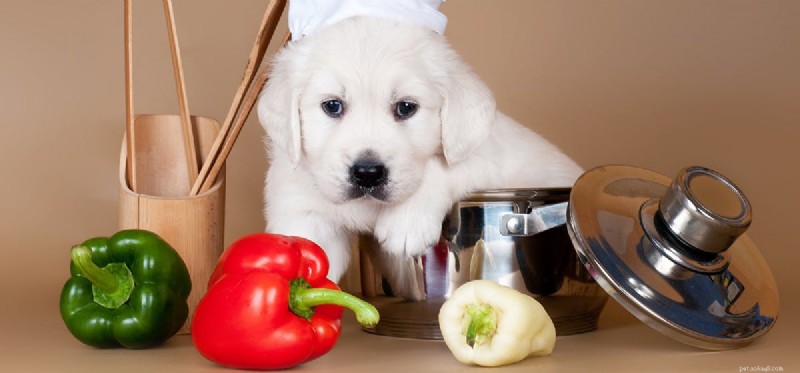 Kunnen honden paprika proeven?