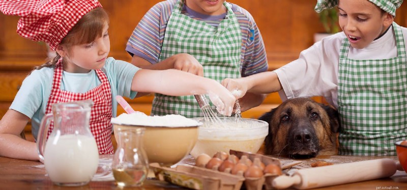 犬はねばねばした食べ物を味わうことができますか?
