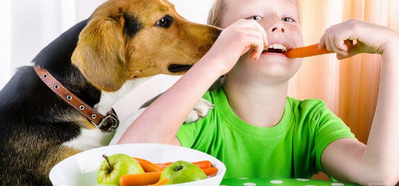 Kan hundar smaka fruktig mat?