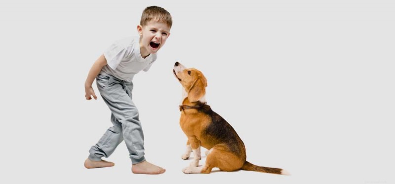 犬は人間の吠え声を理解できますか?