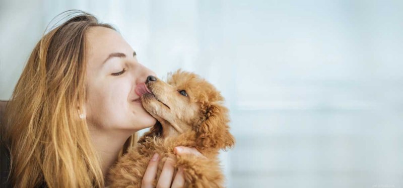 Begrijpen honden menselijke kusjes?