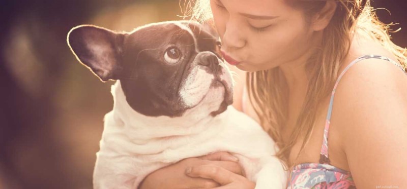 Kan hundar förstå våra känslor?