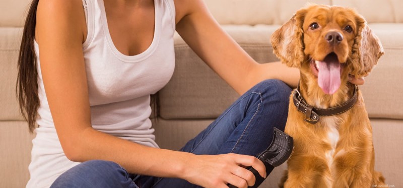 Les chiens d assistance peuvent-ils vivre dans des appartements ?