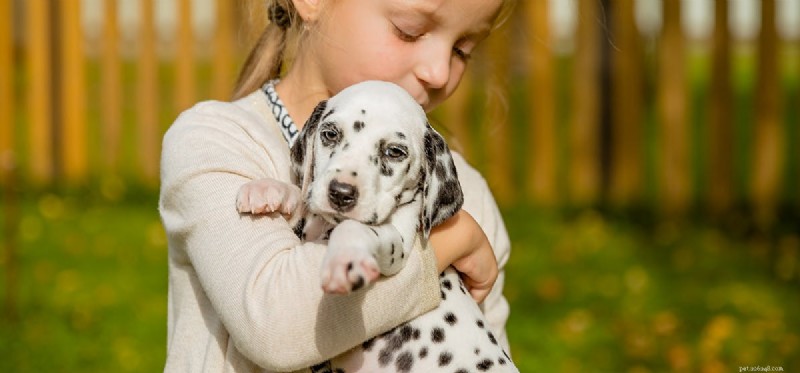 犬はお腹のゴロゴロ音を聞くか?