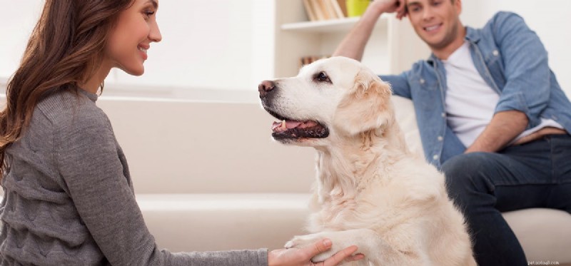 Honden kunnen het verschil zien tussen blije en boze gezichten