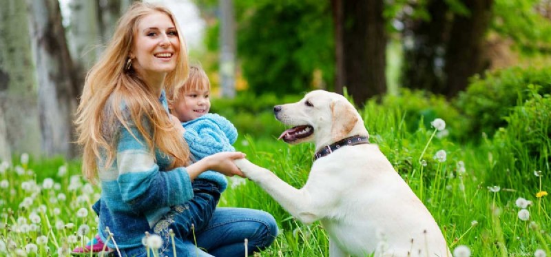 Les chiens peuvent-ils comprendre les sourires ?