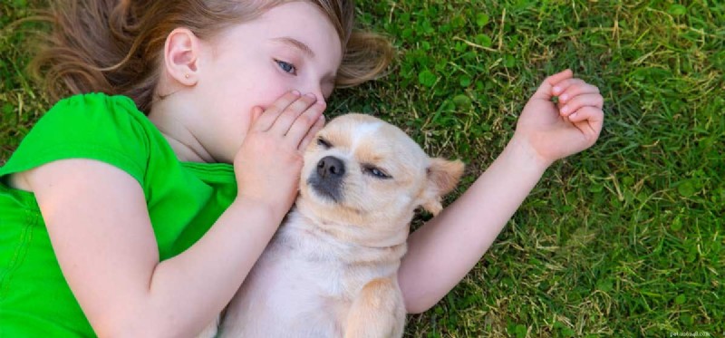 Dokážou psi porozumět lidské konverzaci?
