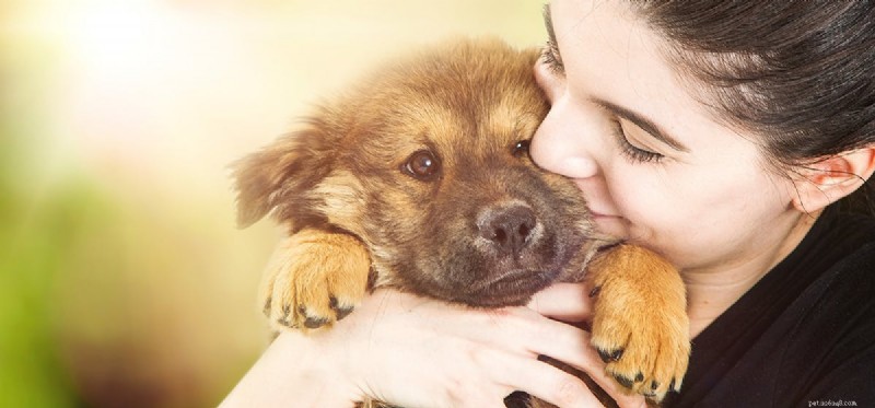 Kan en hund lukta cancer?