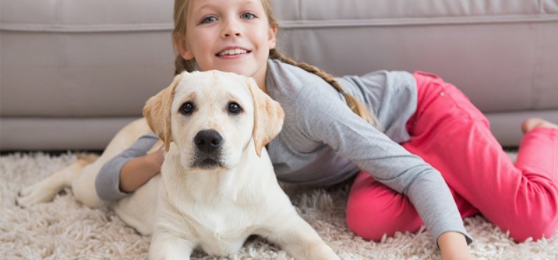 Kan een hond sinaasappelsap proeven?