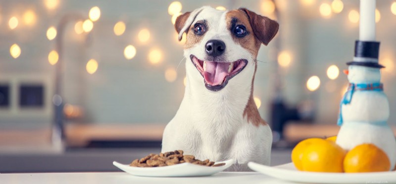 Kan hundar äta sur mat?