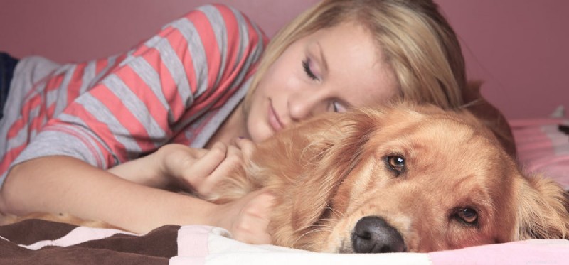 Mohou psi předstírat spánek?