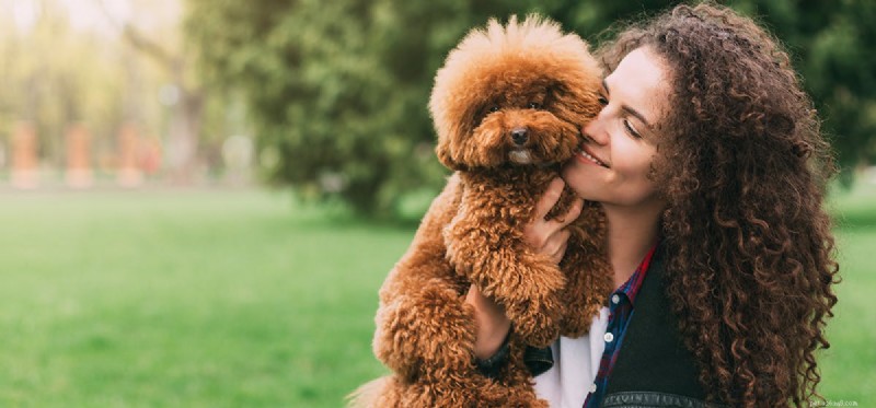 Os cães podem sentir carinho?